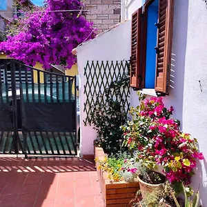 Nel Cortile Della Casa Di Carta, Due Singole Unita Casa vacanze Torpè